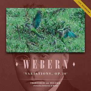 Weber: Variations, Op.30 (Live Recording)