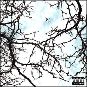 INTRECCIO (Explicit)