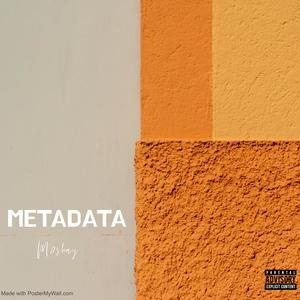 MetaData (Explicit)