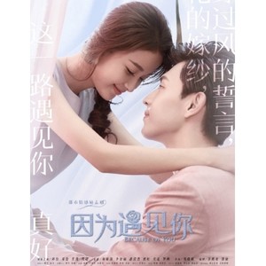 什么样的爱情《因为遇见你》插曲 (翻唱版)封面
