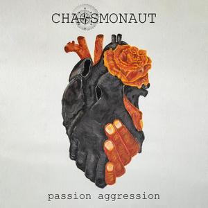 Passion Aggression (feat. Brandon Walker)