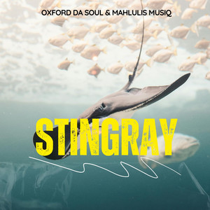 Stingray (Remake)