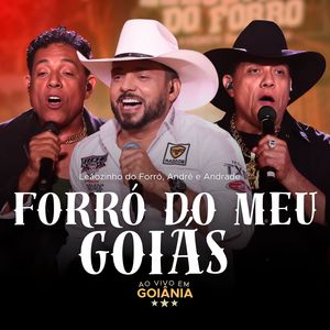 Forró do Meu Goiás