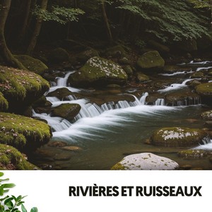 Rivières et Ruisseaux : Chuchotements de la Nature