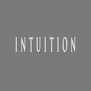 INTUITION (feat. Infinitely Beats)