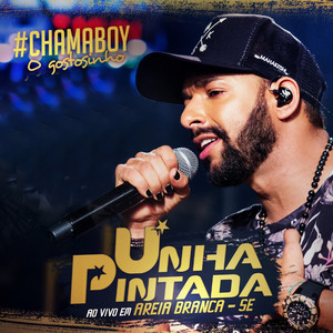 Só pra Castigar(Ao Vivo )