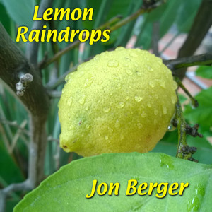 Lemon Raindrops