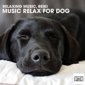 Calm Music for Baby with Relaxing Sounds