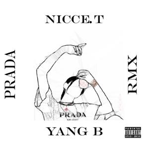 Prada (Rmx) (feat. NICCE. T) [Explicit]