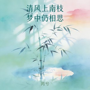 芮兮 - 清风上南枝 梦中仍相思