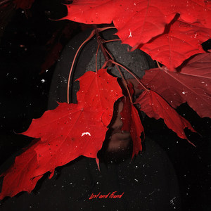 I Don't Want Her (Explicit)