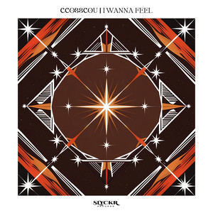 I Wanna Feel (Extended Mix)