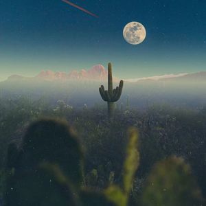 I Want You To Know (DJ版)