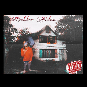 Backdoor Nation (Explicit)