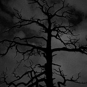 SuperHuman (Explicit)