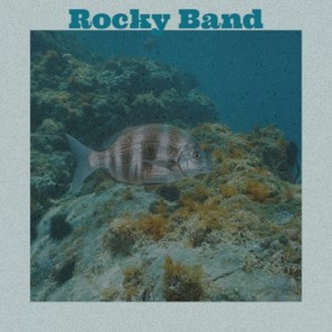 Rocky Band