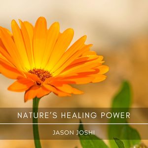 NatureÃ¢â¬â¢s Healing Power (Original Mix)