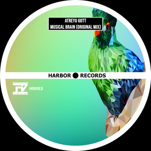 Musical Brain (Original Mix)