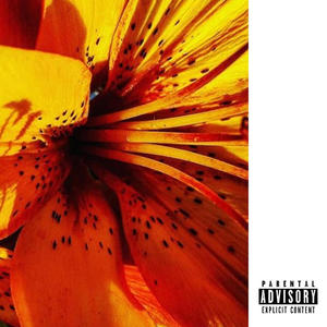 More Amour (Explicit)