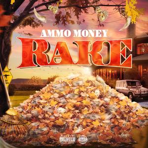 Rake (Explicit)