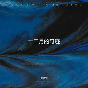 刘德宇 - 十二月的奇迹