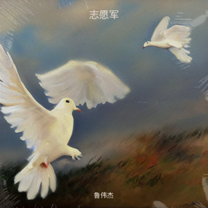 一拳破岭击飞鹰