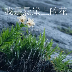 我是悬崖上的花-余音绕梁