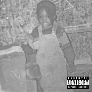 Conclusions (Explicit)