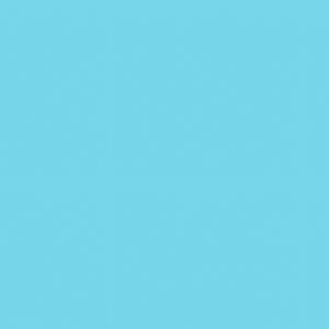 Poles (feat. dejayfrl) (Explicit)