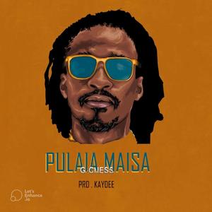 Pulaia Maisa