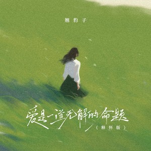 爱是一道无解的命题 (释怀版伴奏)