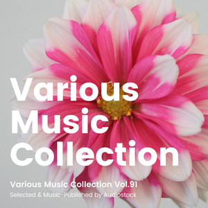 Various Music Collection Vol.91 -Selected & Music-Published by Audiostock-