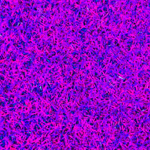 Hate the Summer (Explicit)