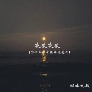 夜夜夜夜(你也不必牵强再说爱我)