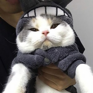 我的傻姑娘