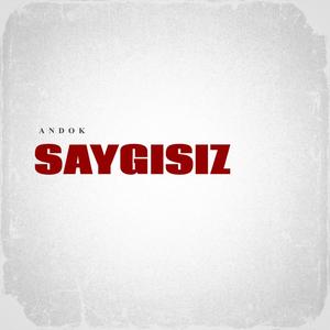 SAYGISIZ