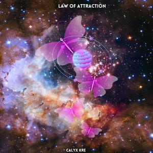 Law Of Attraction (Explicit)