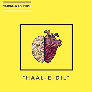 Haal E Dil