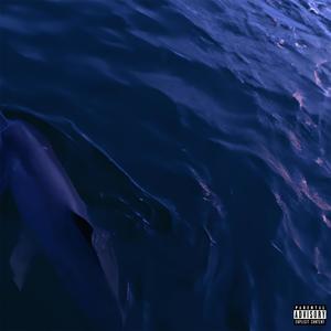 VODA NEW ERA DOLPHIN 2023 (feat. tomas808) (Explicit)