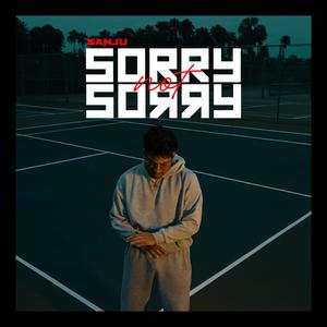 SNS (SORRY NOT SORRY)