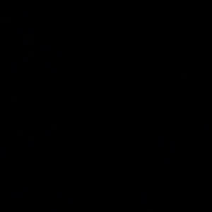 Dis shi swag (Explicit)