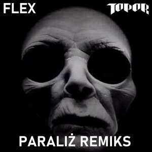 Paraliż (Flex Remix|Explicit)