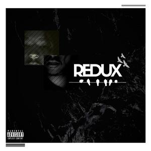 REDUX (Explicit)