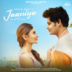 Jaaniya (Lofi Version)