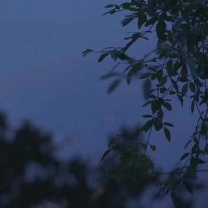 心如止水 (COVER版)