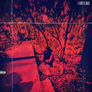 FOAM RNNRs (Explicit)