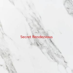 Secret Rendezvous (Instrumental version originally performed by Karyn White)