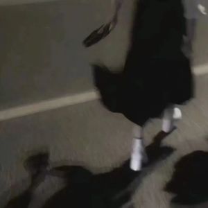 Lotta Lovin (Reverb)