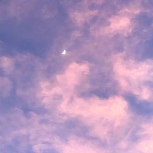 是非题 (Single Version)