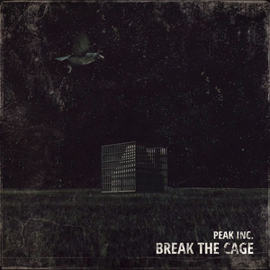 Break The Cage (Explicit)